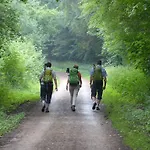 Fischbachtal