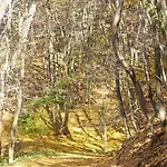 Vakantiehuis Fischbachtal Heimbach