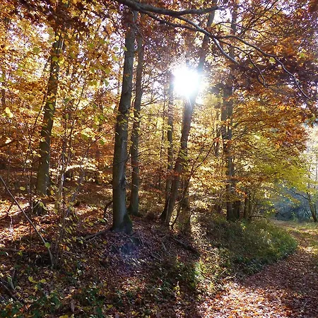Vakantiehuis Fischbachtal