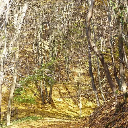 펜션 Fischbachtal 하임바흐
