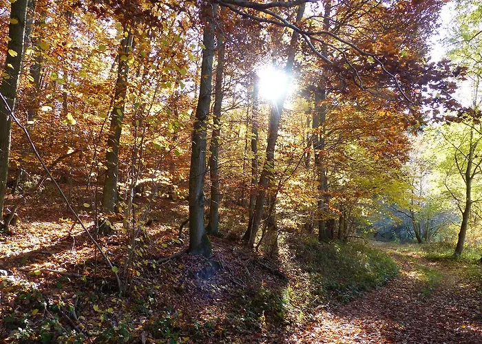 Feriehus Fischbachtal