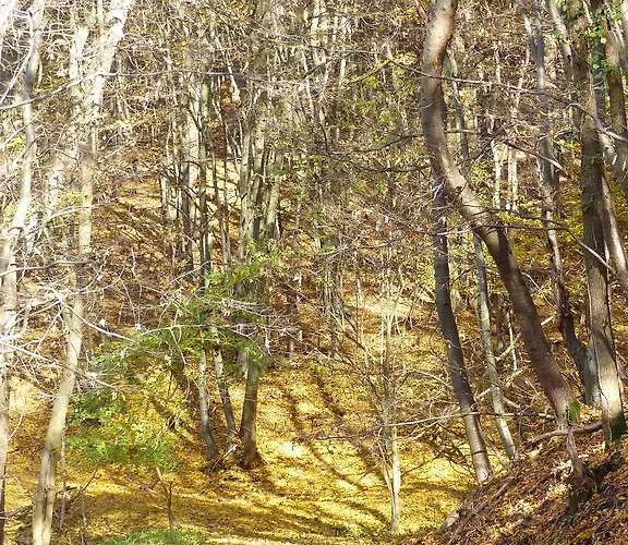 Feriehus Fischbachtal Heimbach